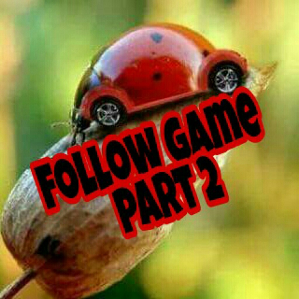 Come back for more followers!